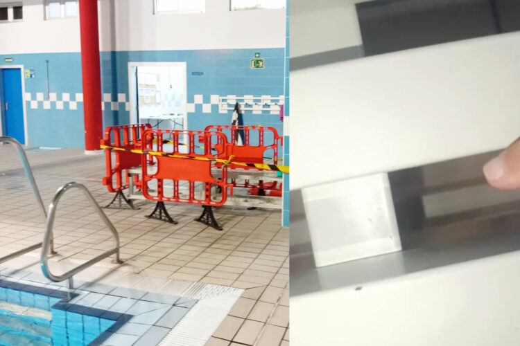 asi-corren-pulgas-guillermo-molina