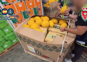 asi-viajaban-toneladas-hachis-melones-policia-nacional-marruecos