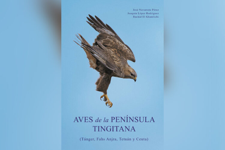 aves-peninsula-tingitana