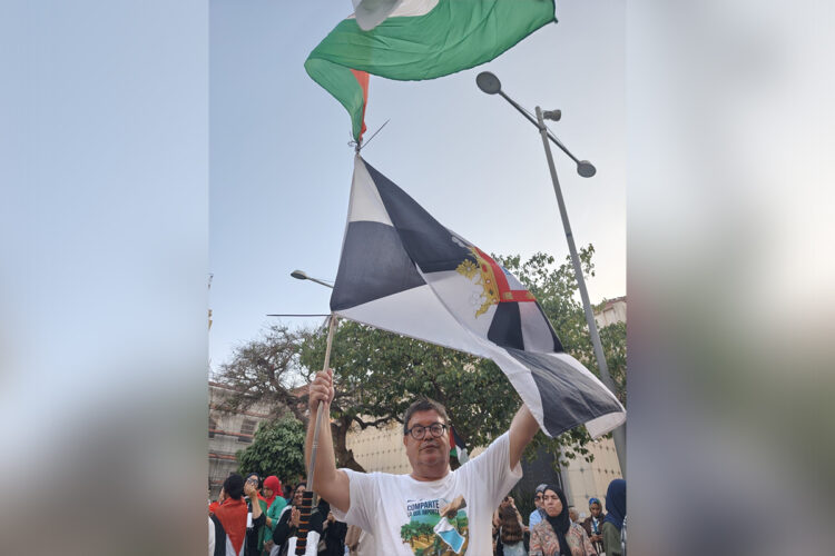 canonazo-palestina-aulas