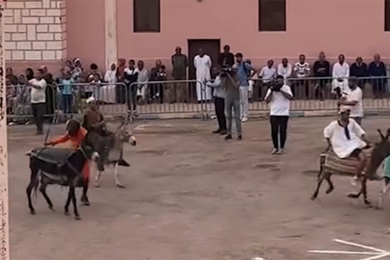 carreras-burros-sur-marruecos