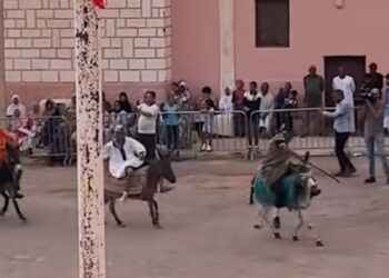 carreras-burros-sur-marruecos