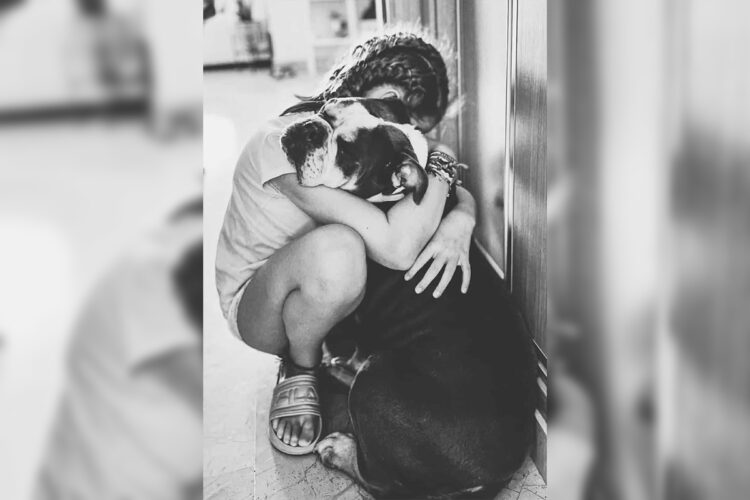 gobierno-ciudad-ceuta-contra-cuerdas