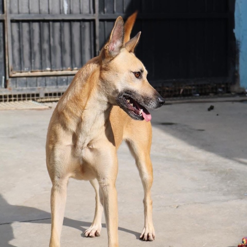 hilda-quiere-vida-mas-alla-barrotes-protectora-002