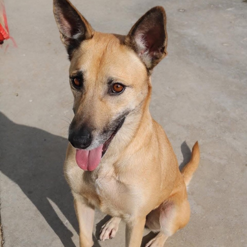 hilda-quiere-vida-mas-alla-barrotes-protectora-003