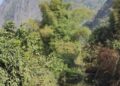 laos-columna-rio-mekong