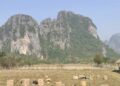 laos-columna-rio-mekong