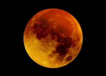 luna-maiz-cosecha-2025