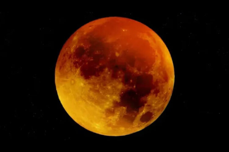 luna-maiz-cosecha-2025