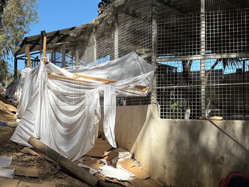 mas-mil-inmigrantes-ceti-alrededores-022