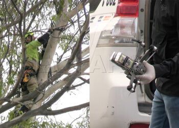 narcodron-hachis-arbol-bomberos