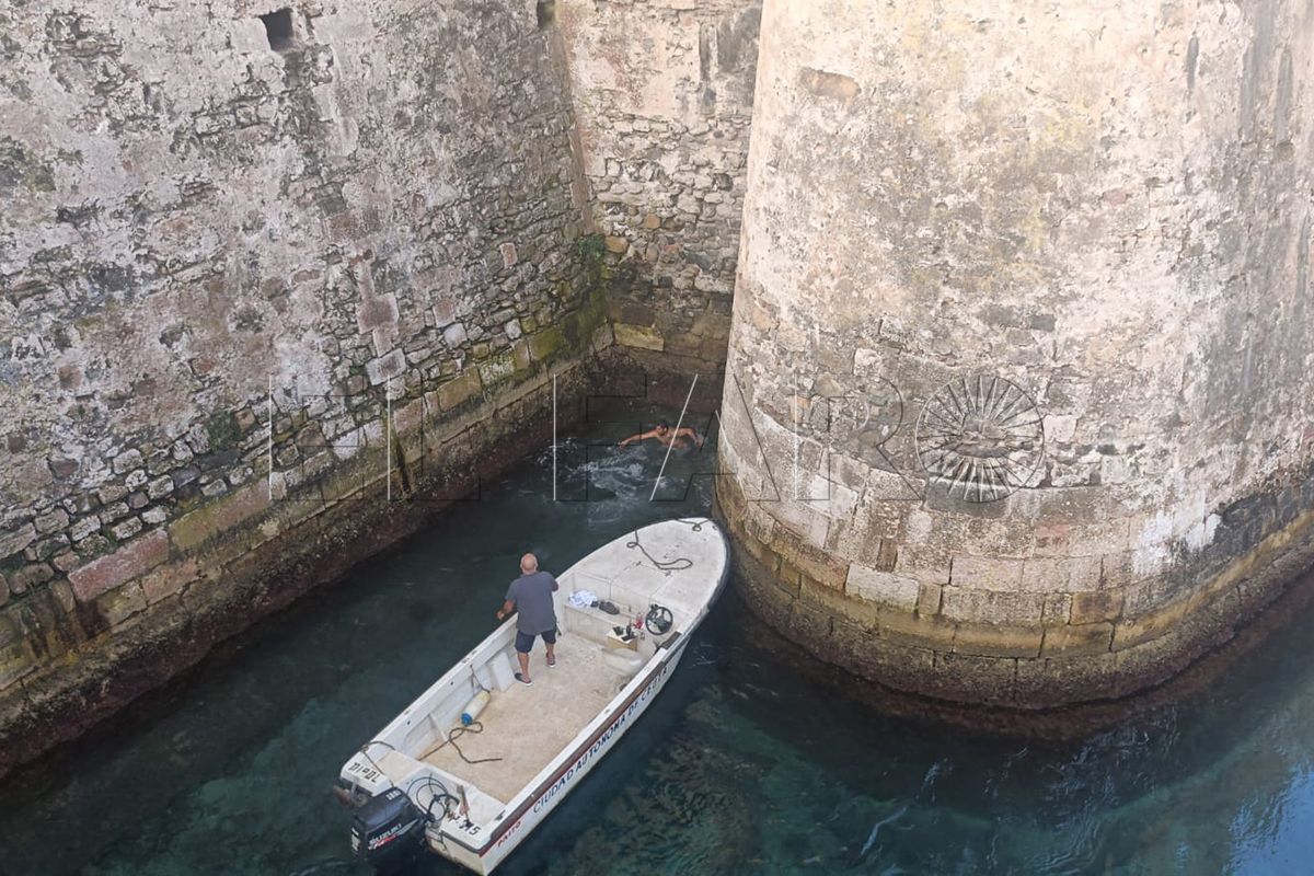 no-era-delfin-ballena-piloto-ha-llegado-ceuta-morir-002