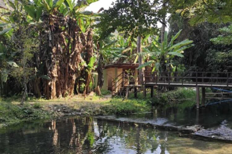 pai-tesoro-entre-montanas