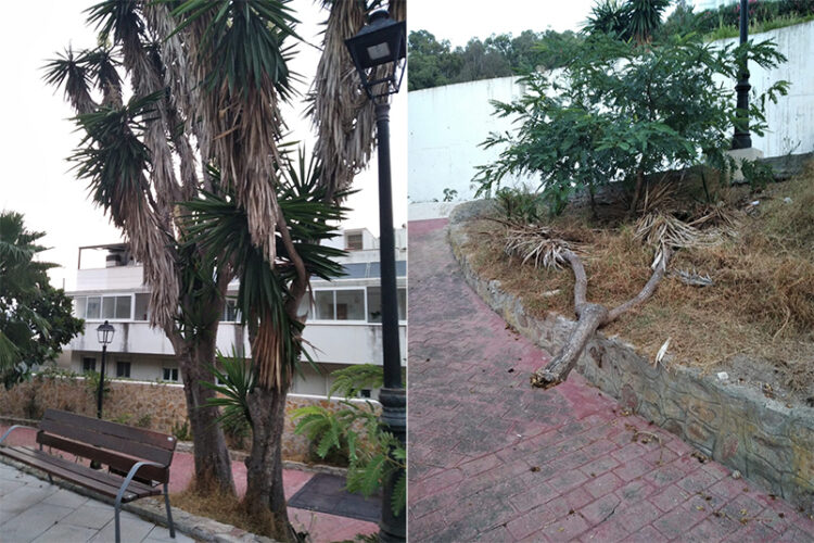 parque-san-antonio-abandonado-ayuntamiento-1