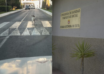 perro-rabia-murio-24-horas-despues-captura-pudo-entrar-valla-001