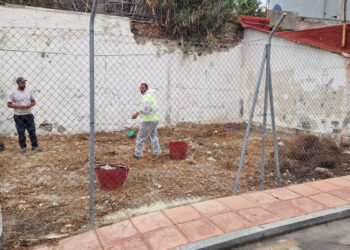 san-amaro-disfrutara-pronto-huerto-urbano-comunal-003