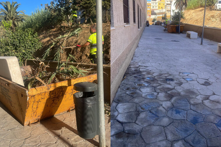 vecinos-huerta-tellez-agradecen-limpieza-canas-zarzales-000