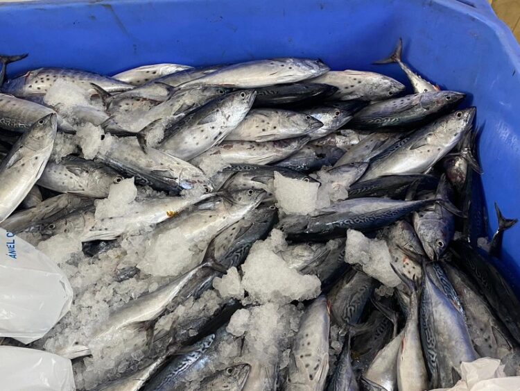 carta-agradecimiento-banco-alimentos-ceuta