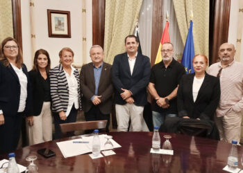 ccoo-traslada-gobierno-principales-reivindicaciones-sector-sanitario