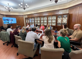 cemsatse-denuncia-ausencia-cupula-ingesa-mesa-sectorial