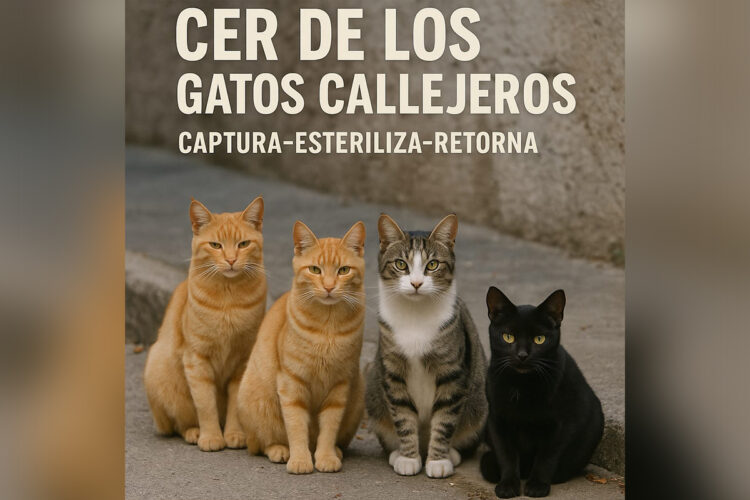cer-gatos-fecha-finalizacion-1