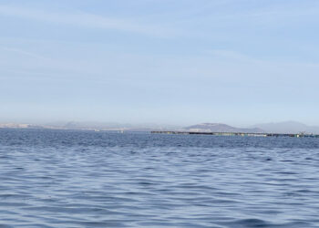 desastre-ambiental-vertido-residuos-puerto-rincon-agrava-contaminacion