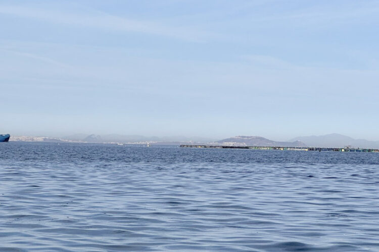desastre-ambiental-vertido-residuos-puerto-rincon-agrava-contaminacion
