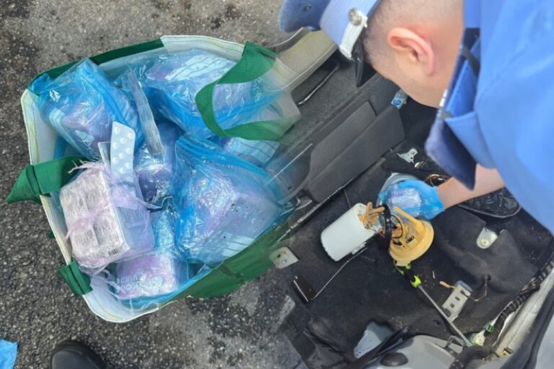 detenido-pastillas-coche-frontera-002