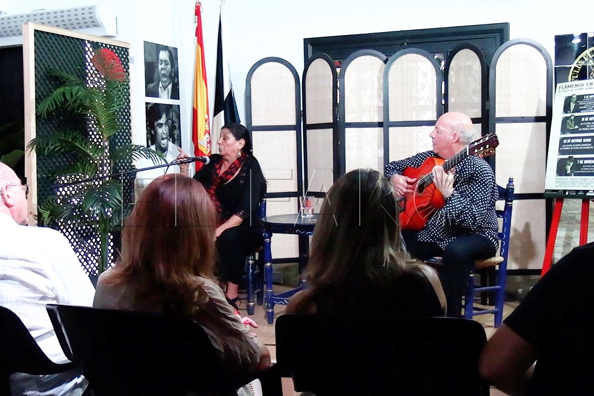 dolores-agujetas-raiz-grito-flamenco-llega-ceuta-014-principal