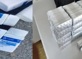 espana-tanger-med-intentan-pasar-pastillas-ocultas-juguetes