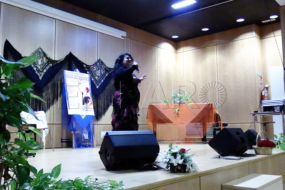 flamenco-voces-centro-mayor-001-principal