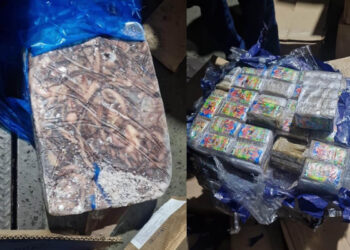 hachis-pulpos-carga-sorpresa-tanger-med