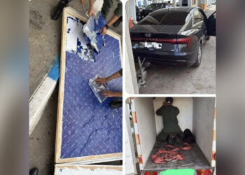 kilos-hachis-carnes-falsos-periodista-detenido-frontera-001