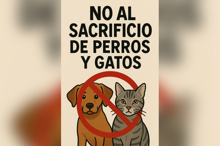 no-sacrificio-perros-gatos-parte-sanidad-opinion