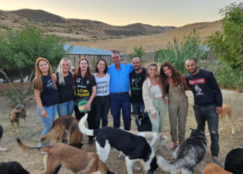 pacma-matanza-perros-marruecos