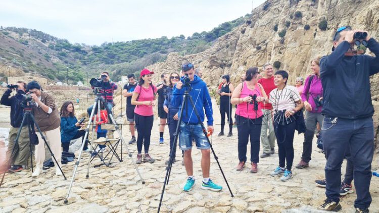 seo-jornadas-pardela-cenicienta-014