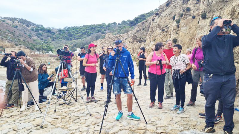 seo-jornadas-pardela-cenicienta-014