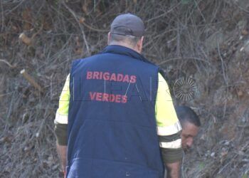 ceuta-ya-denuncia-burla-vivas-trabajadores-brigadas-verdes