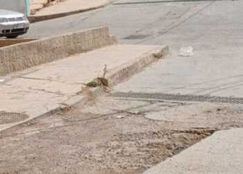 vecinos-castillejos-protestan-mal-estado-calles