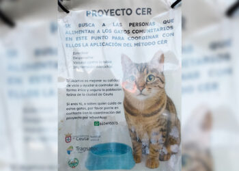 daubma-denuncia-cese-programa-cer