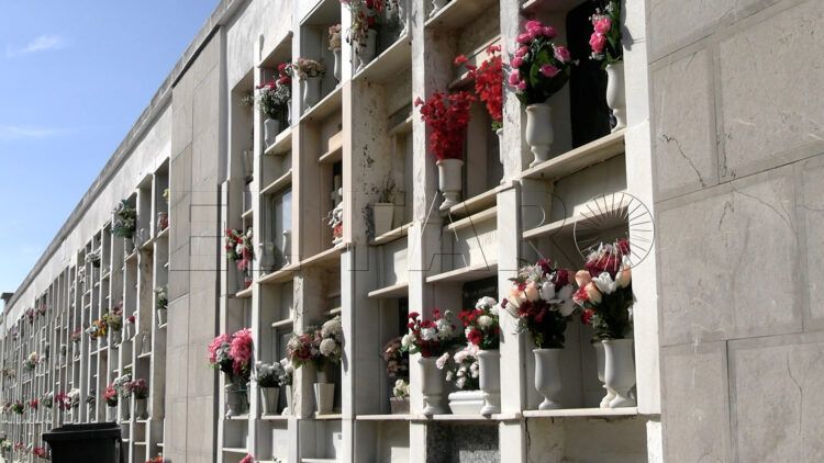 flores-vencer-olvido-dia-todos-santos