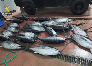 guerra-encarnizada-guardia-civil-pesca-atun-rojo