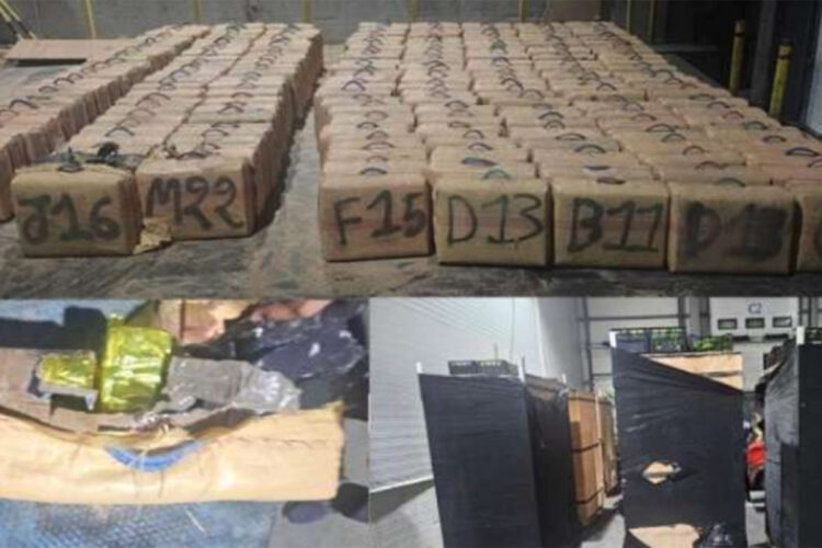 tiros-contra-narcos-tanger-kilos-hachis-decomisados