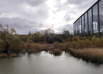 vitoria-gasteiz-modelo-imitar-003