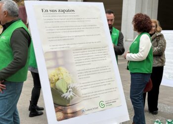 zapatos-reconocimiento-voluntarios-aecc-3