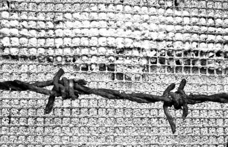 arbeit-macht-frei-trabajo-libres-001