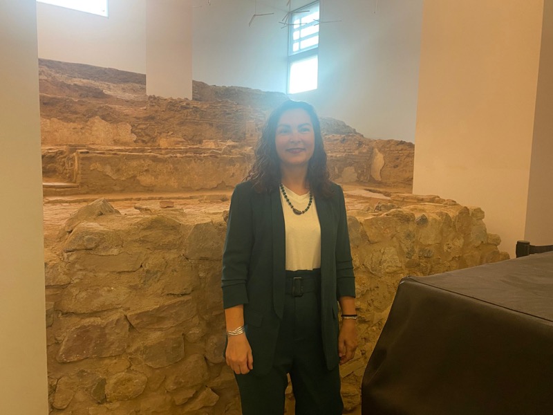 carmen-garcia-pena-planificacion-estrategica-ruta-ciudad-ciedes-003