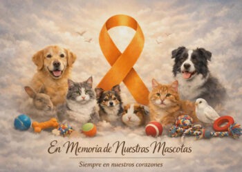 carta-despedida-movimiento-dignidad-animal