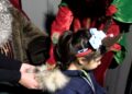 ceuta-vive-tarde-magica-llegada-papa-noel-12