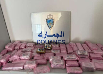 cincuenton-kilos-hachis-control-fronterizo